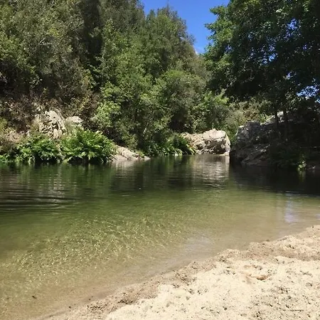 2 *
