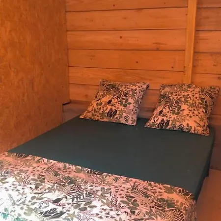 2 *