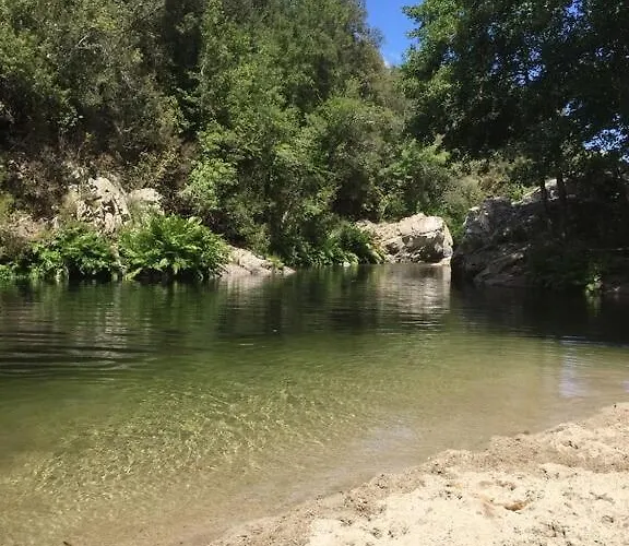2 *